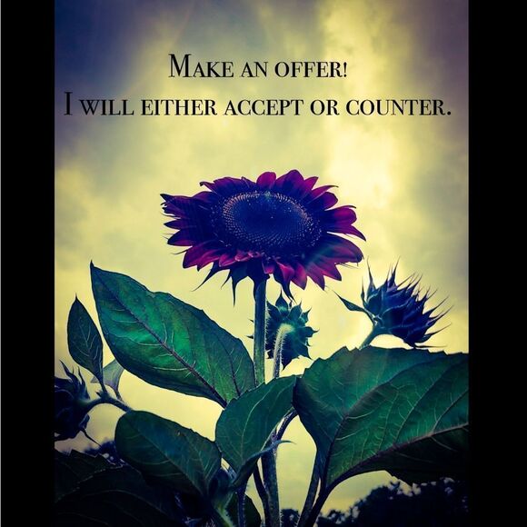 NWT! Victoria's Secret Pink Warm & Cozy Gift Cozy Socks - Picture 2 of 7